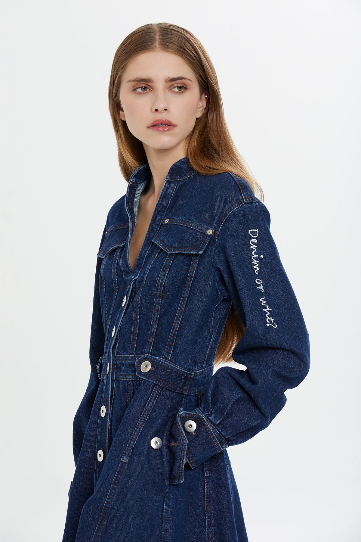 Düğme Detaylı Uzun Kollu Denim Elbise